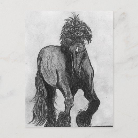 Carte Postale Frankie (Devant)