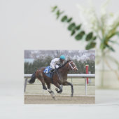 Carte Postale Frankienjymme (Debout devant)