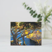 Carte Postale Franz Bischoff - Arbres nés à gauche, Monterey (Debout devant)