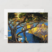 Carte Postale Franz Bischoff - Arbres nés à gauche, Monterey (Devant / Derrière)
