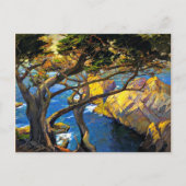 Carte Postale Franz Bischoff - Arbres nés à gauche, Monterey (Devant)