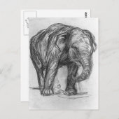 Carte Postale Franz Marc- Elephant (Devant / Derrière)