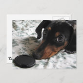 Carte Postale Frappe de Digger à un Poteau (Devant / Derrière)