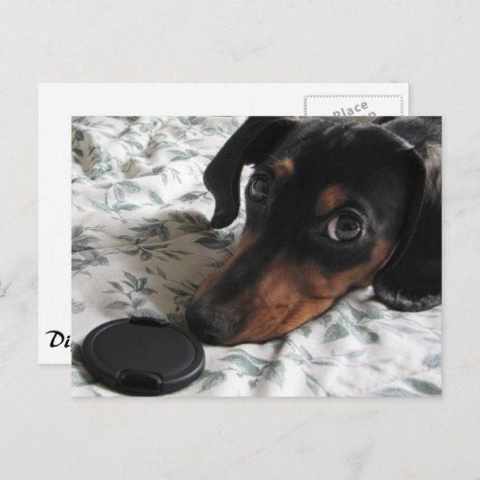 Carte Postale Frappe de Digger à un Poteau (Devant / Derrière)