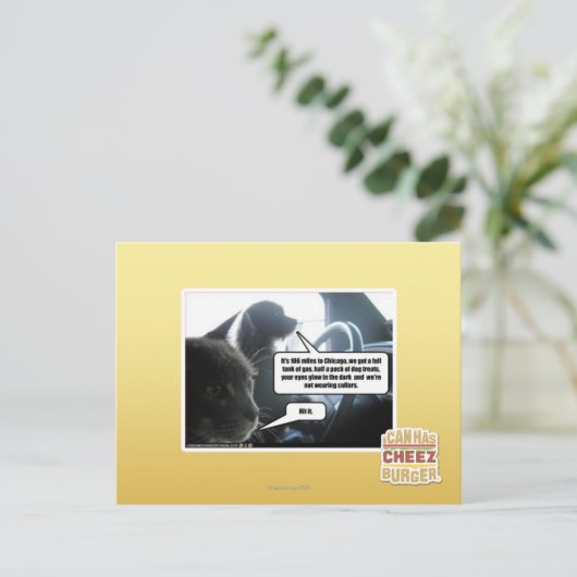 Carte Postale Frappe-Le. (Debout devant)