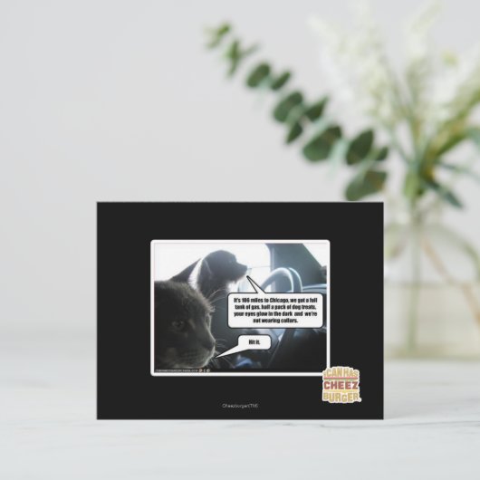 Carte Postale Frappe-Le. (Debout devant)