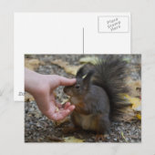 Carte Postale frapper un écureuil (Devant / Derrière)
