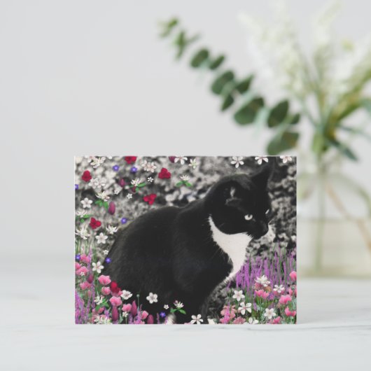 Carte Postale Frapules en Fleurs II - Tuxedo Cat (Debout devant)
