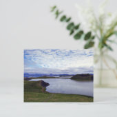Carte Postale Fratercula Arctica, Islande (Debout devant)