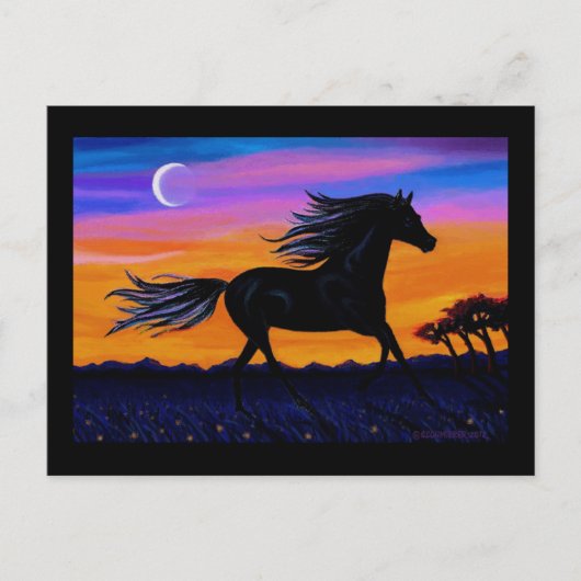 Carte Postale Free As the Wind (Devant)