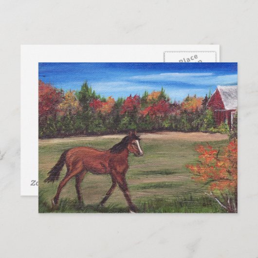 Carte postale Freedom Run (Devant / Derrière)