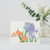 Carte Postale Freesia, lis africain par Tanigami Konan (Debout devant)