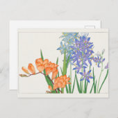 Carte Postale Freesia, lis africain par Tanigami Konan (Devant / Derrière)
