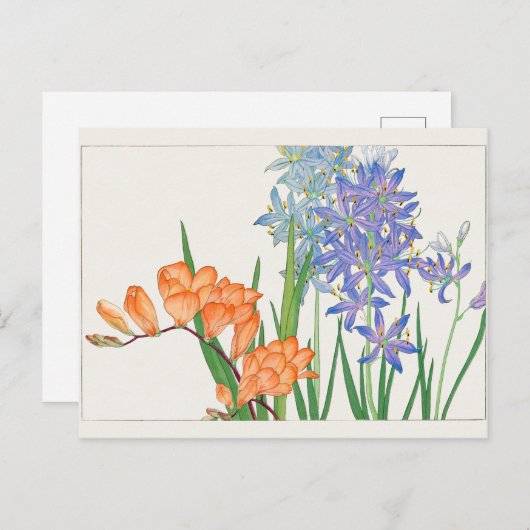 Carte Postale Freesia, lis africain par Tanigami Konan (Devant / Derrière)