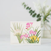 Carte Postale Freesia par Tanigami Konan (Debout devant)