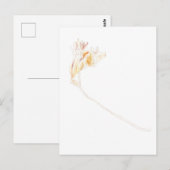 Carte Postale Freesia séchée (Devant / Derrière)