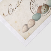 Carte Postale French Bird Nest and Eggs Set Tissuepapier (Detail)