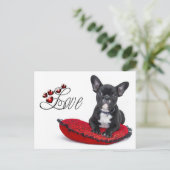 Carte Postale French Bull Dog - Français - Amour (Debout devant)