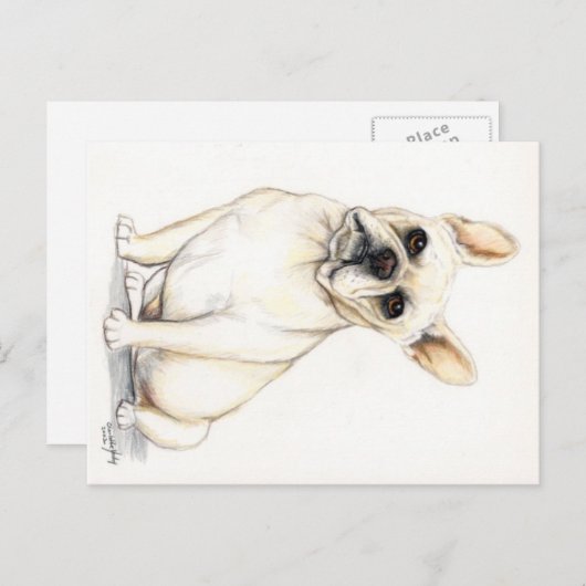 Carte postale French Bulldog Chien (Devant / Derrière)