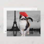 Carte Postale French Cat à Paris (Devant / Derrière)