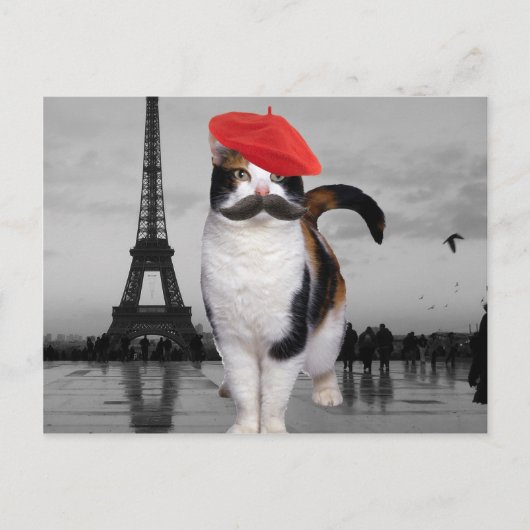 Carte Postale French Cat à Paris (Devant)