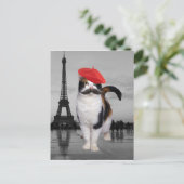 Carte Postale French Cat à Paris (Debout devant)