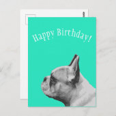 Carte Postale Frenchie | Aqua Joyeux Anniversaire (Devant / Derrière)