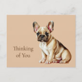 Carte Postale Frenchie Dog pense à toi (Devant)