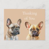 Carte Postale Frenchie Dogs Pensez à vous (Devant)