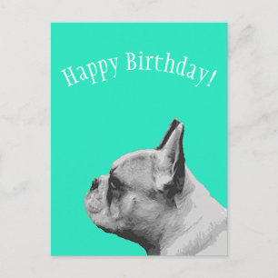 Carte Postale Frenchie   Joyeux Anniversaire couleur aqua
