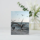 Carte postale Frenzy (Debout devant)