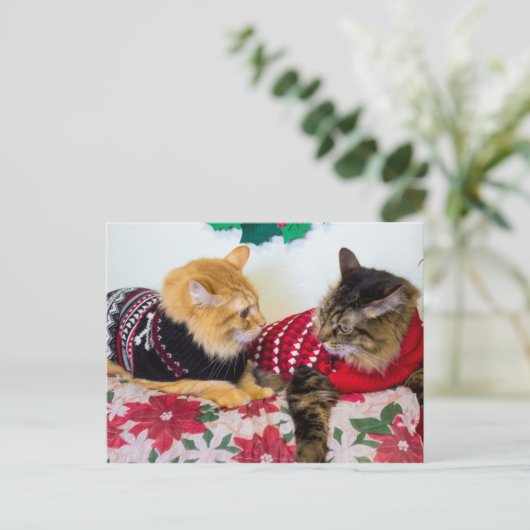 Carte Postale Frères (Debout devant)