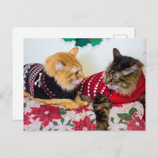 Carte Postale Frères (Devant / Derrière)