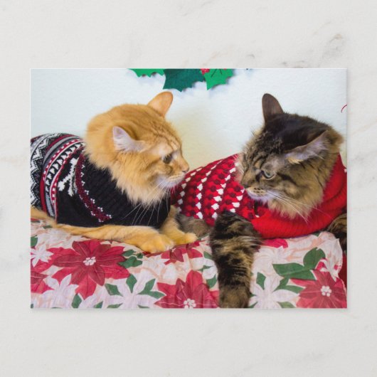 Carte Postale Frères (Devant)