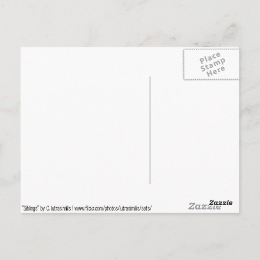 Carte Postale Frères (Dos)