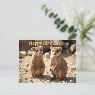Carte Postale Frères identiques : Twins Quokka australiens,