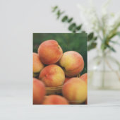Carte Postale Fresh peaches (Debout devant)