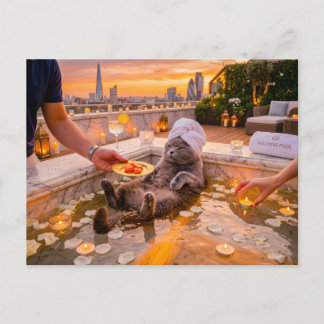 Carte Postale Friandises au thon pour chat sur la terrasse de la