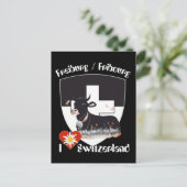 Carte Postale Fribourg / Fribourg Schweiz Suisse Postkarte (Debout devant)