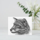 Carte Postale Frida, The Wee Scottish Fox ! (Debout devant)