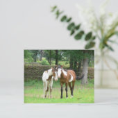 Carte postale Friends (Debout devant)