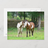 Carte postale Friends (Devant / Derrière)