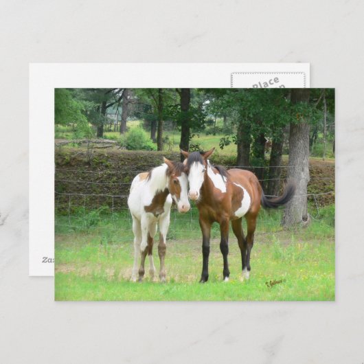 Carte postale Friends (Devant / Derrière)