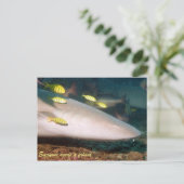 Carte postale Friends (Debout devant)