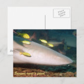 Carte postale Friends (Devant / Derrière)