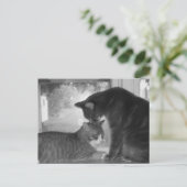 Carte postale Friends (Debout devant)