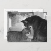 Carte postale Friends (Devant / Derrière)