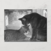 Carte postale Friends (Devant)