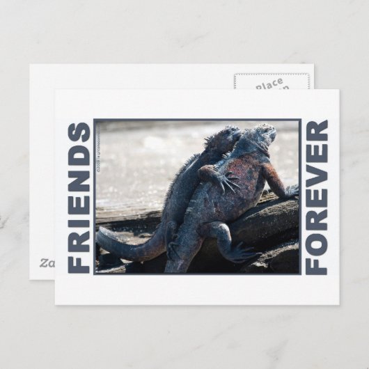 Carte postale Friends Forever (Devant / Derrière)