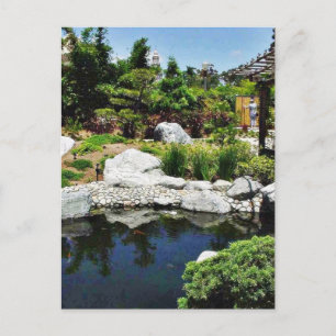 Carte Postale Friendship Garden Balboa Park Pond